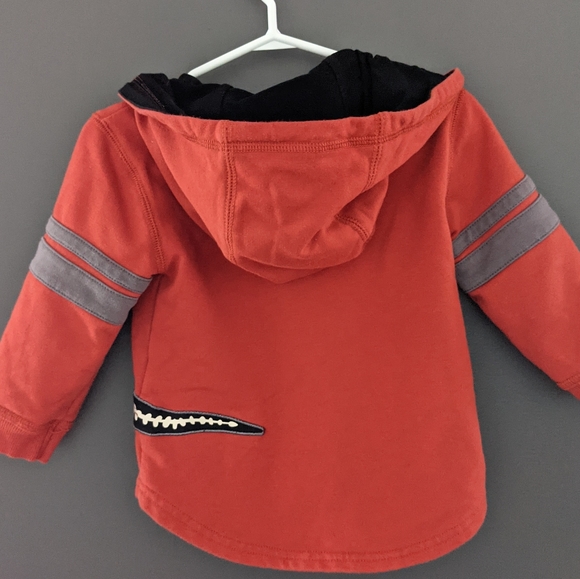 Burnt orange dinosaur hoodie - Picture 2 of 3